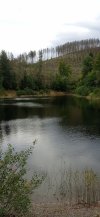 IMG_20211003_135246.jpg