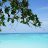 Gennady_navigator