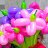 anna.kir